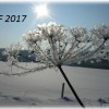 PF 2017
